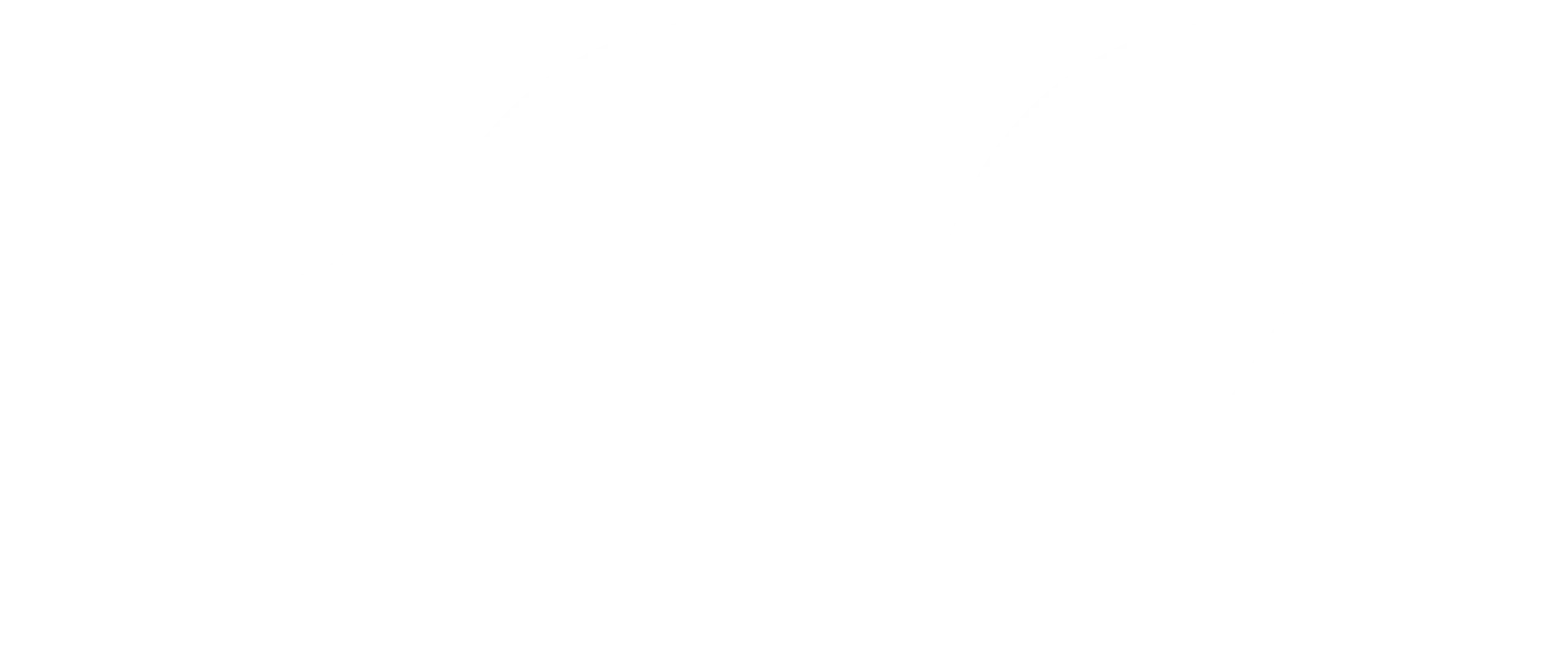 Logo Boston Consulting Group