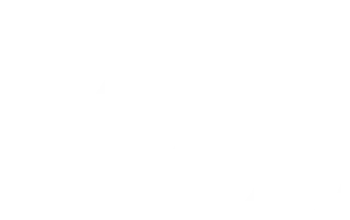 Logo NX-Food
