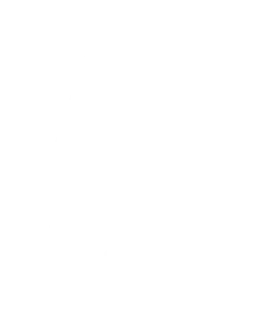 Logo Aldi